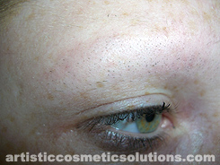 Full Eyebrow Creation (Hairstroke Technique)