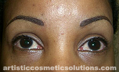 Permanent Eyebrows (Feathering & Hairstroke Techniques)