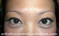 Permanent Eyebrows (Feathering & Hairstroke Techniques)