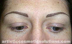 Permanent Eyebrows (Feathering & Hairstroke Techniques)