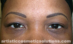 Permanent Eyebrows (Feathering & Hairstroke Techniques)