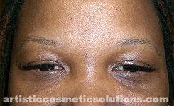 Permanent Eyebrows (Feathering & Hairstroke Techniques)